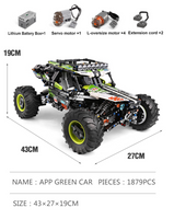 Mould King Technical RC Off Road 4x4 Building Blocks Assembly Buggy Cars Set Lego Compatible